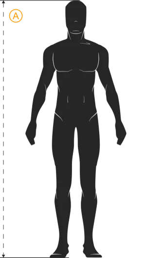 Wzrost